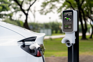 EV electric vehicle recharging battery from EV charging station in outdoor green city park scenic....