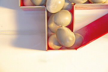 Eggs with golden light to celebrate Happy Easter