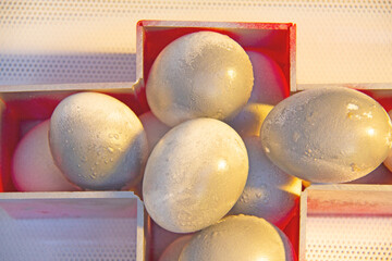 Eggs with golden light to celebrate Happy Easter