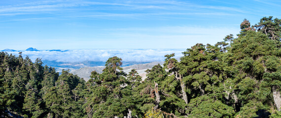 Fototapeta na wymiar Panoramic view from the hiking trail to Torrecilla peak, Sierra de las Nieves national park, Andalusia, Spain