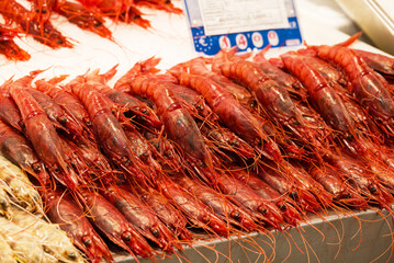 fish market with many different fresh fishes