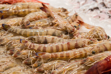fish market with many different fresh fishes