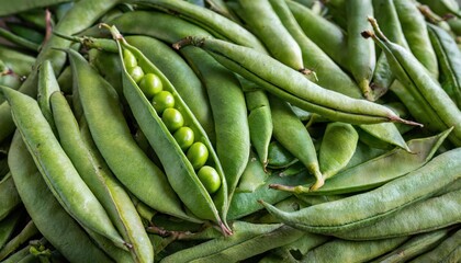 Fototapeta premium Full frame shot abundance of vibrant green bean pods