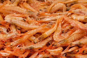 fish market with many different fresh fishes