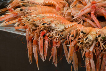 fish market with many different fresh fishes
