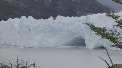 Perito Moreno Glacier Ice Tunnel and Tree Swaying in Wind
