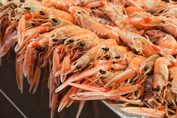 fish market with many different fresh fishes