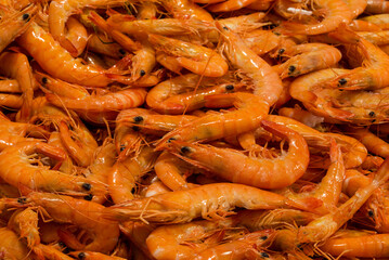 fish market with many different fresh fishes