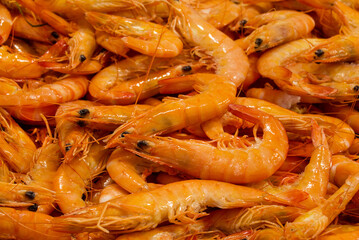 fish market with many different fresh fishes