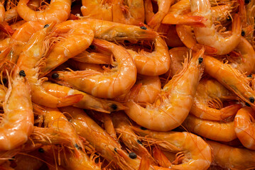 fish market with many different fresh fishes