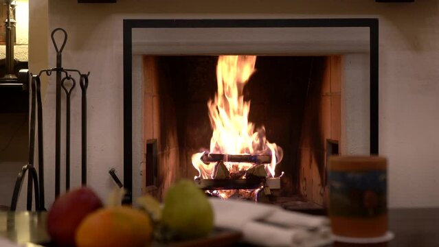 Fireplace in the living room