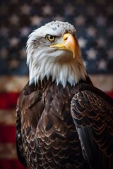 Obraz premium The Majestic Bald Eagle with the Star-Spangled Banner