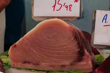 fish market with many different fresh fishes