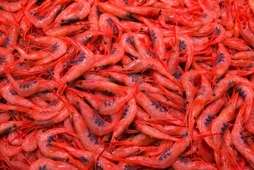fish market with many different fresh fishes