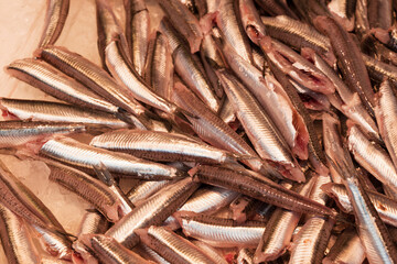 Fototapeta premium fish market with many different fresh fishes