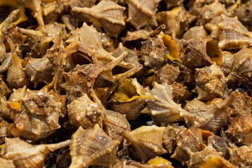 fish market with many different fresh fishes