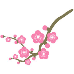 Pink plum blossom flat illustration. Oriental flower element.