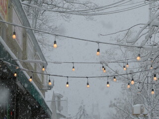 Hanging lights in the snow