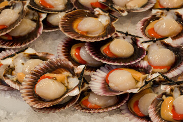 fish market with many different fresh fishes