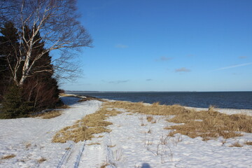 St Lawrence River Shore in winter