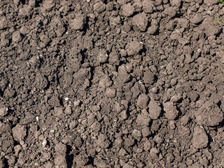 soil background texture. top view of the ground.