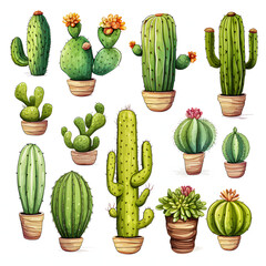 Watercolor Set Of Colorful Cactus Plants And Succulent Plants In Pot Isolated On White Background