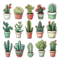 Deurstickers Cactus in pot Watercolor Set Of Colorful Cactus Plants And Succulent Plants In Pot Isolated On White Background
