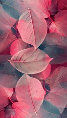 Intricate pink leaf skeleton texture background perfect for creative design projects