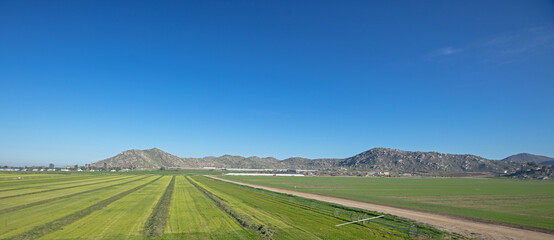 Rows of cut alfalfa field seen from aerial viewpoint in Menifee southern California United States