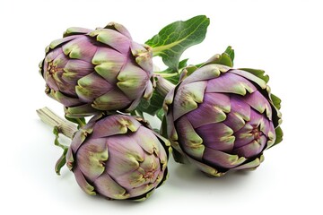 Obraz premium Artichokes on white background with leaves