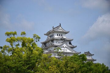 Naklejka premium 白く輝く国宝姫路城