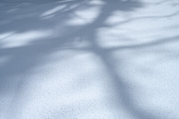 Obraz premium 雪と影