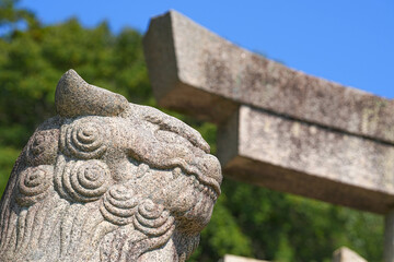 Fototapeta na wymiar 大隅神社