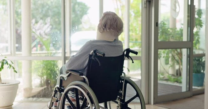 Elderly woman, wheelchair and thinking at window in morning sunshine in neck brace for recovery. Senior lady, injury and person with disability at clinic, hospital or nursing home for rehabilitation