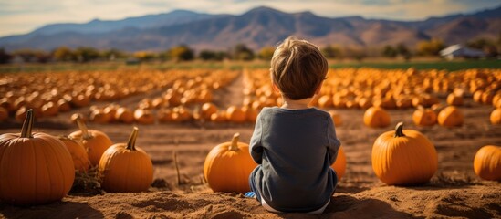 A young boy is sitting amongst a large group of pumpkins in a field, looking out over the pumpkin patch. - Powered by Adobe