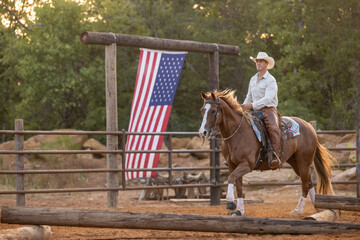 Cowboy Horse Trainer