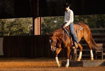Cowboy Trainer riding a sorrel quarter horse