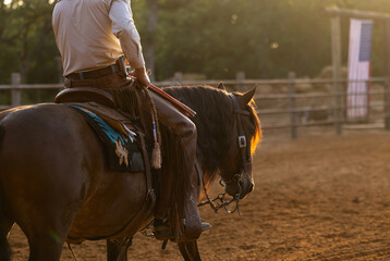 Cowboy Horse Trainer in the golden hour morning haze
