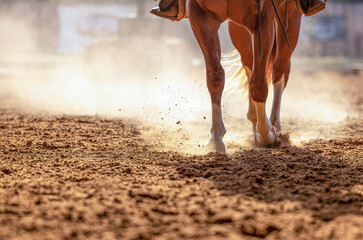 Horse legs in a dirt  Arena with backlit dust