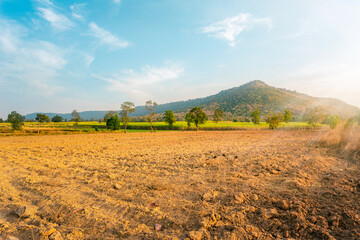 Empty dry cracked swamp reclamation soil, land plot for housing construction project with car tire...