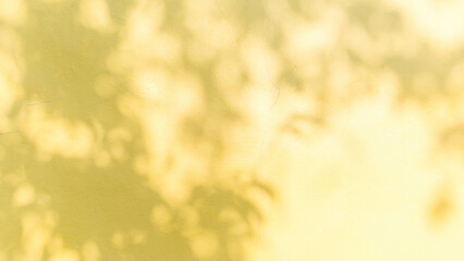 Ceramic tile wall background or texture. Floor tile pattern.