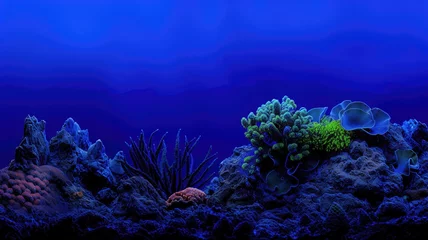 Keuken spatwand met foto A tranquil underwater scene with vibrant corals under a deep blue ocean at night © Artyom