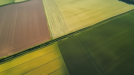 Obraz premium Aerial view of green fields