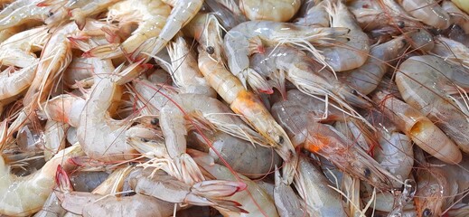 Many fresh raw shrimp at the traditional market in Indonesia. Uncooked prawn seafood background
