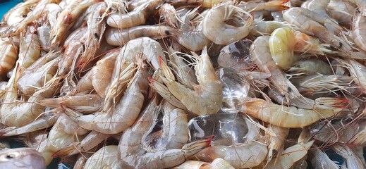 Many fresh raw shrimp at the traditional market in Indonesia. Uncooked prawn seafood background