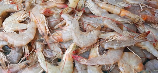 Many fresh raw shrimp at the traditional market in Indonesia. Uncooked prawn seafood background