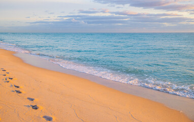 Seagulls at sunrise on a beautiful beach.