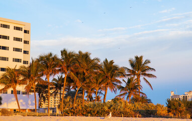 Obraz premium Beautiful clouds over the sea, sunrise
