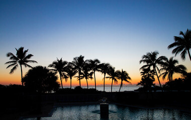 Fototapeta na wymiar Tropical picture of palm trees at sunrise.