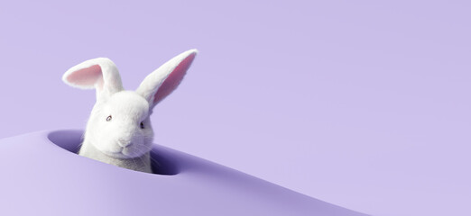Easter bunny peeking out of a hole on violet background. 3d rendering